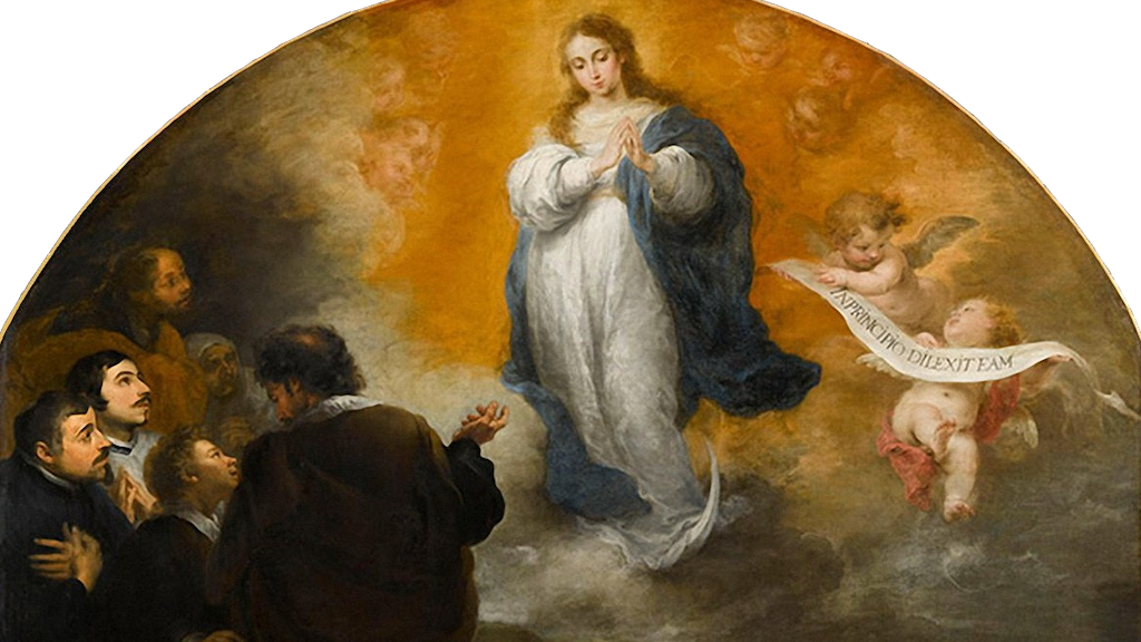 immacolata concezione