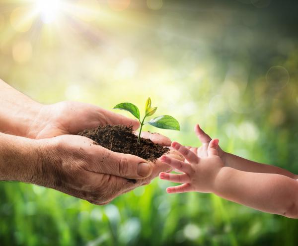 la fe, una planta que cuidar