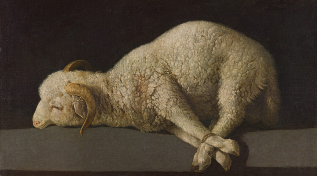 Gesù, l'agnello di Dio